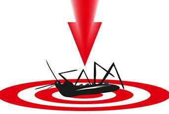Mosquito-borne Diseases and How to Avoid Them