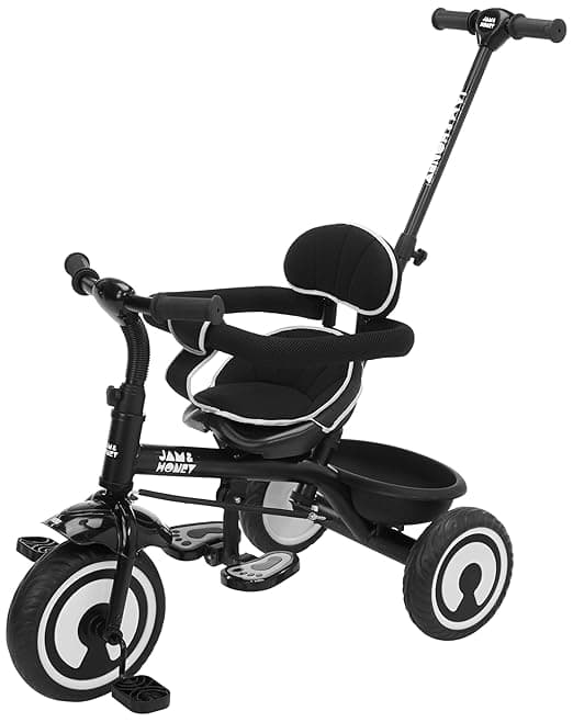 Jam & Honey 2-in-1 Kids Tricycle with Guardrail – Black