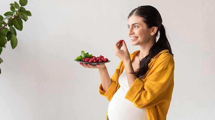 Foods For Pregnancy