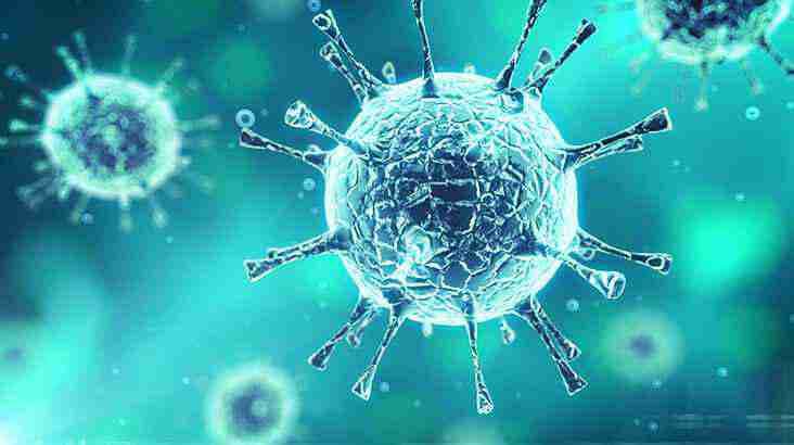 Hand, Foot, Mouth Disease: Symptoms, Home Remedies, Cures