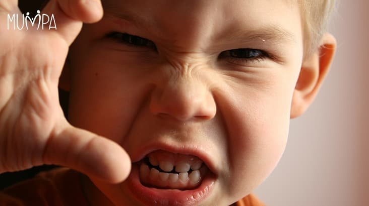 How To Handle Aggressive Behaviour