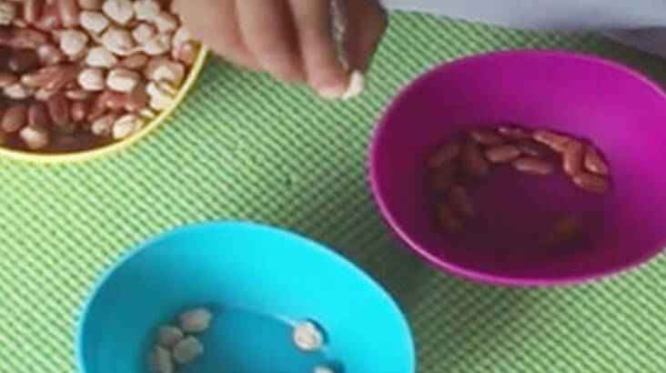 MumpaActivity: Sorting Seeds
